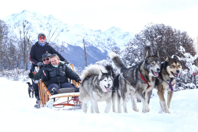 EXCURSION FULL DAY NIEVE FOTO 1