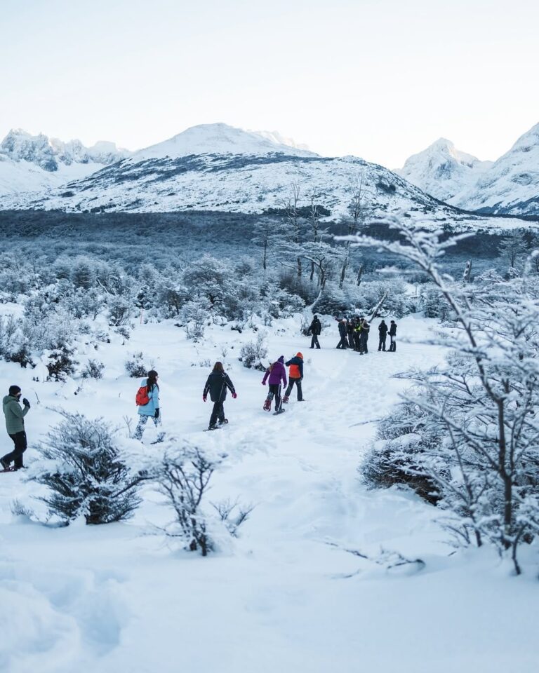 EXCURSION FULL DAY NIEVE FOTO 3